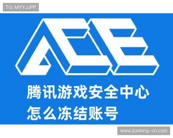 e尊官网app常见问题解决方案及安全使用技巧，保障玩家账号安全与游戏体验